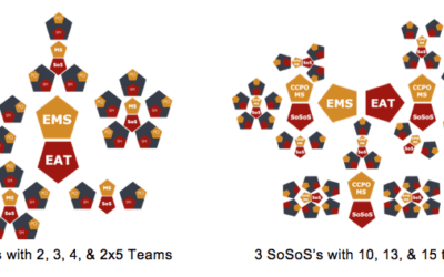Scaled Daily Scrum